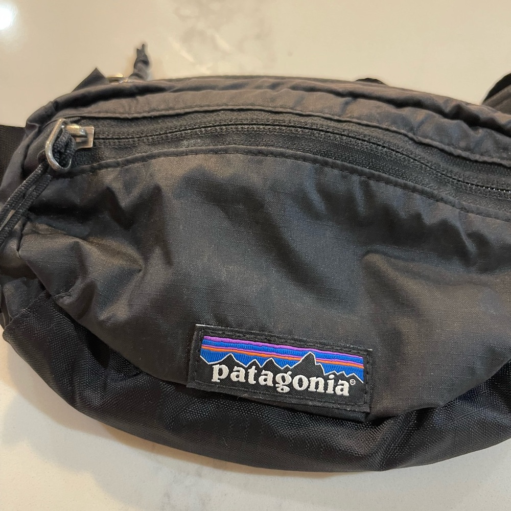 Patagonia belt bag
